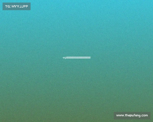 wg职业电子竞技石家庄、石家庄电竞学校地址